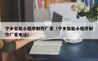 乐陵宁乡智能小程序制作厂家（宁乡智能小程序制作厂家电话）